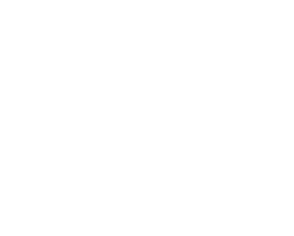 x-icon