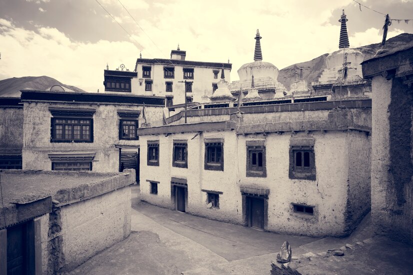 study_abroad_pg
